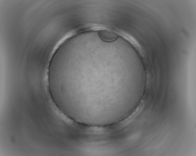 X0000113921190200910090930