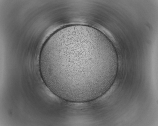 X0000113921192200910090930