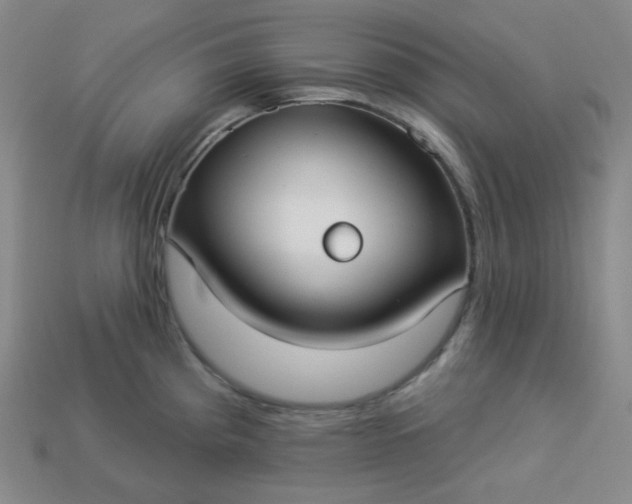 X0000113921193200910090930