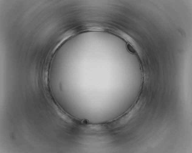 X0000113921194200910090930