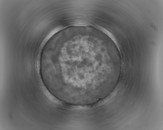X0000113921195200910090930