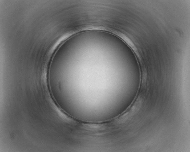 X0000113921197200910090930