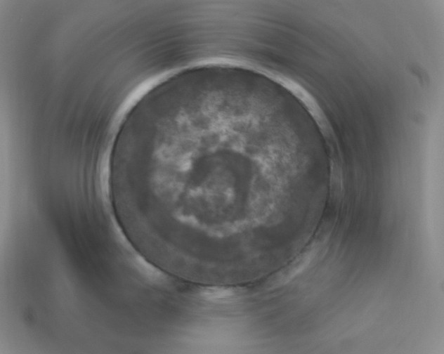 X0000113921199200910090930