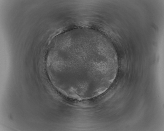 X0000113921201200910090929