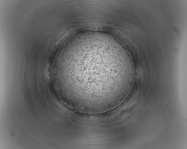 X0000113921202200910090929