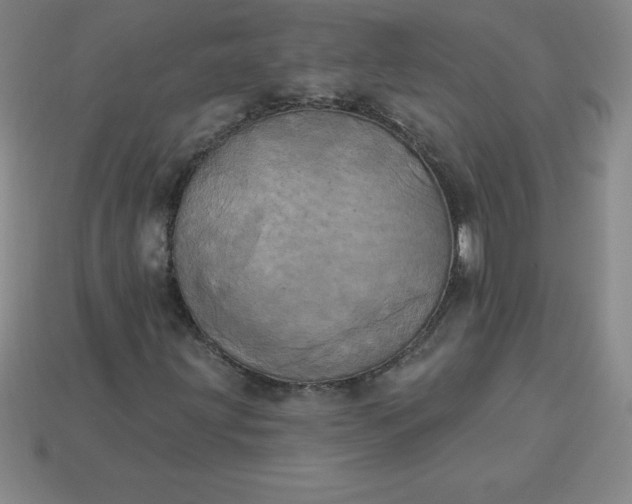 X0000113921203200910090929