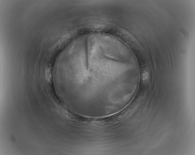 X0000113921204200910090929