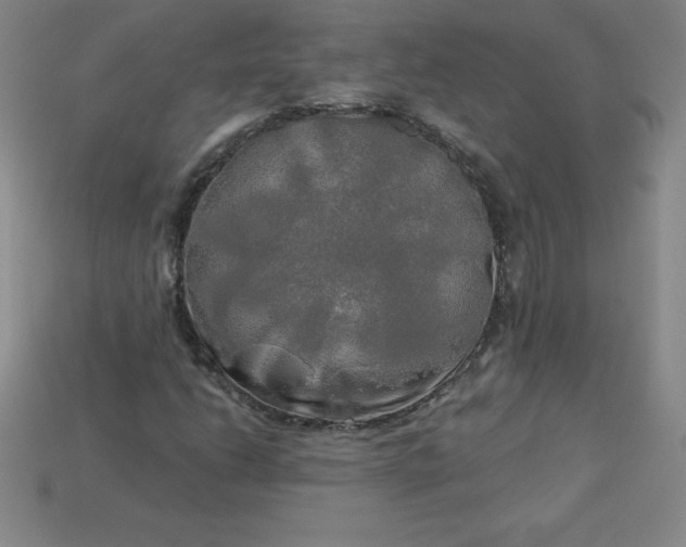 X0000113921206200910090929
