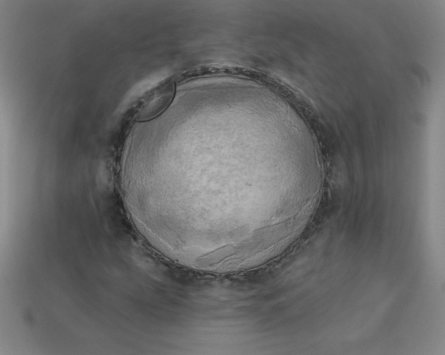 X0000113921207200910090929