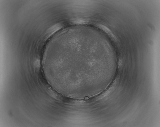 X0000113921209200910090929