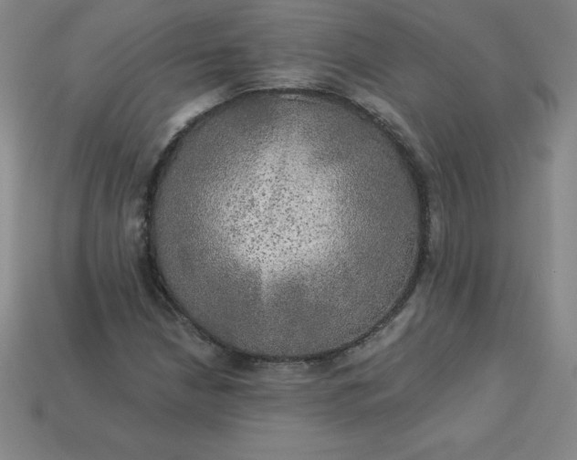 X0000113921210200910090929