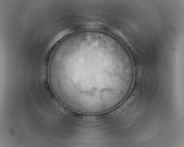 X0000113921211200910090929
