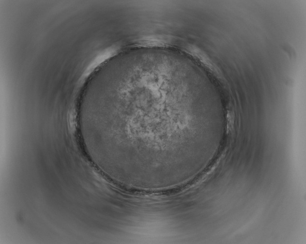 X0000113921213200910090929