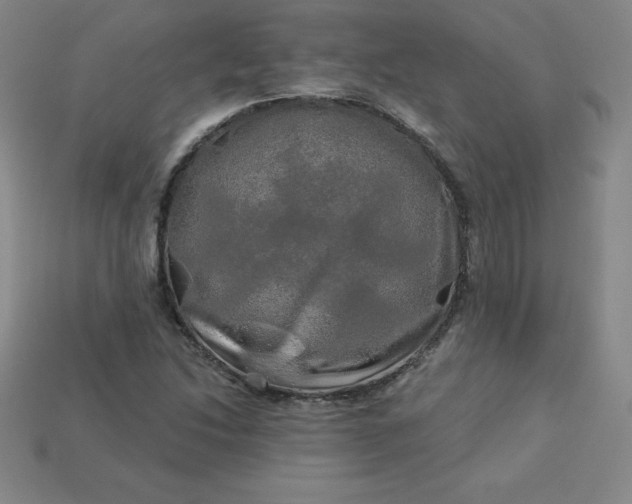 X0000113921214200910090929