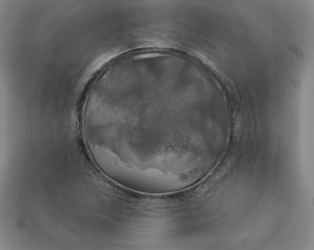 X0000113921215200910090929