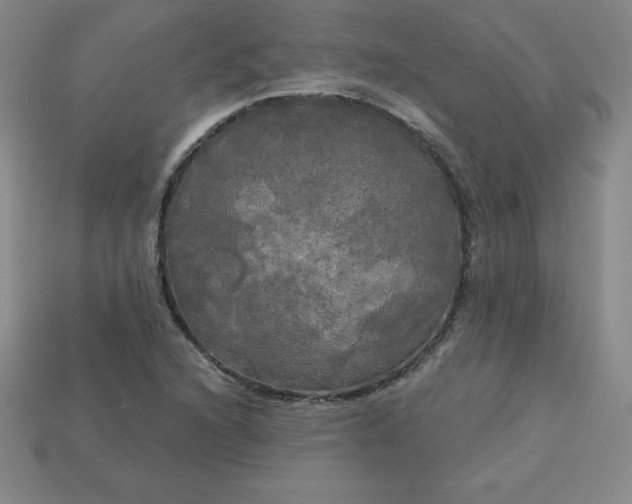 X0000113921216200910090929
