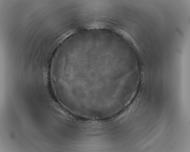 X0000113921217200910090929