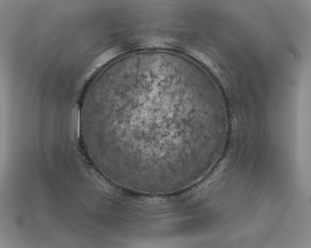 X0000113921219200910090929