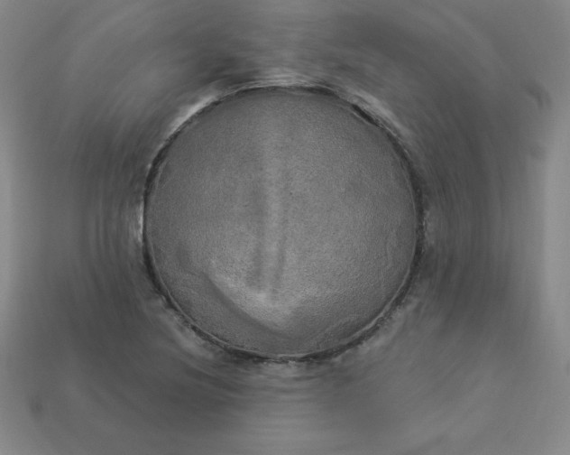 X0000113921220200910090929