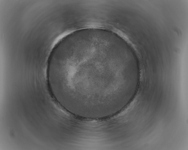 X0000113921222200910090929