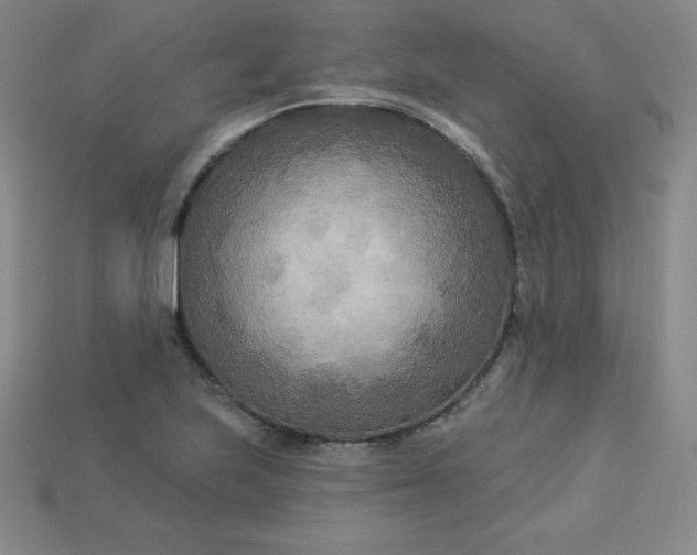 X0000113921223200910090929