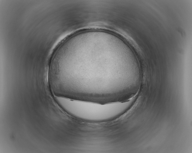 X0000113921224200910090929