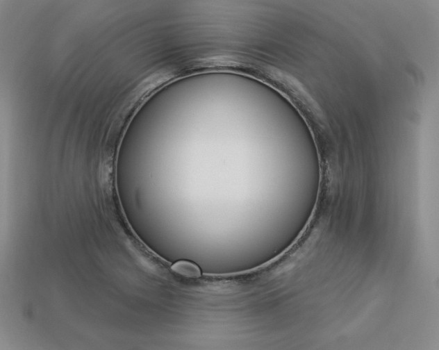 X0000113921225200910090929
