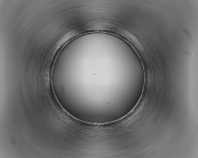 X0000113921226200910090929