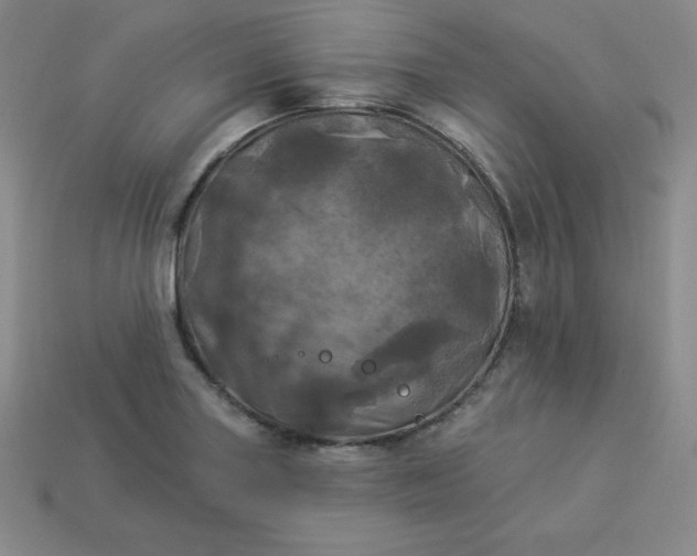 X0000113921227200910090929