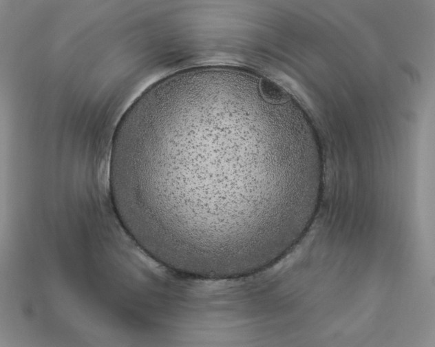 X0000113921228200910090929