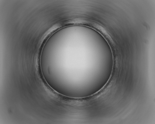 X0000113921229200910090929