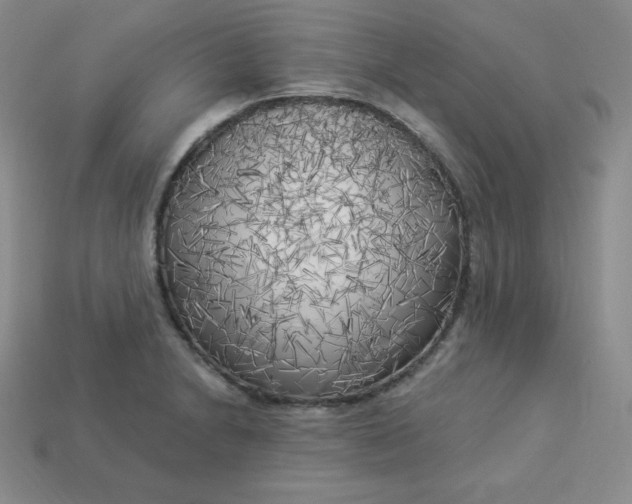 X0000113921230200910090929