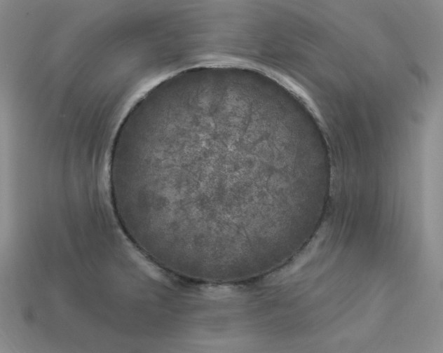 X0000113921231200910090929