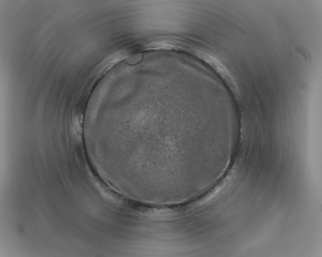 X0000113921233200910090929