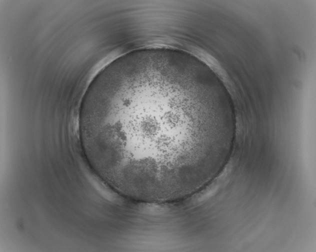 X0000113921234200910090929