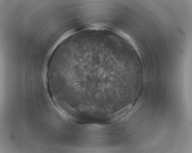 X0000113921235200910090929
