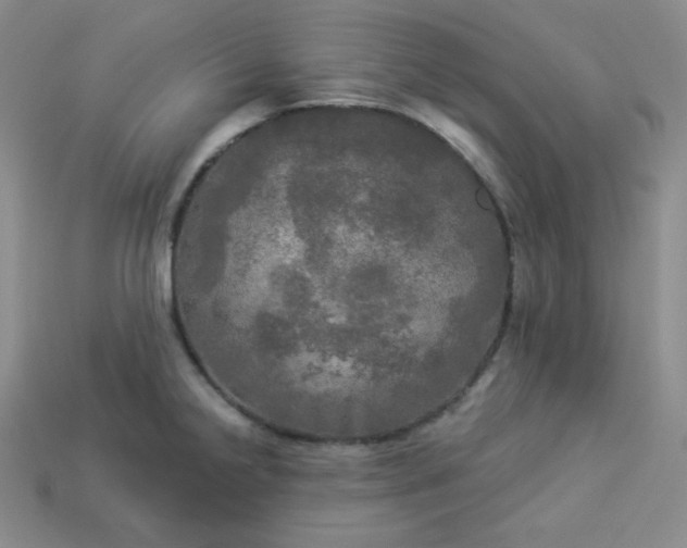 X0000113921238200910090929