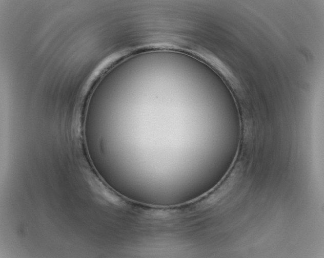 X0000113921240200910090929
