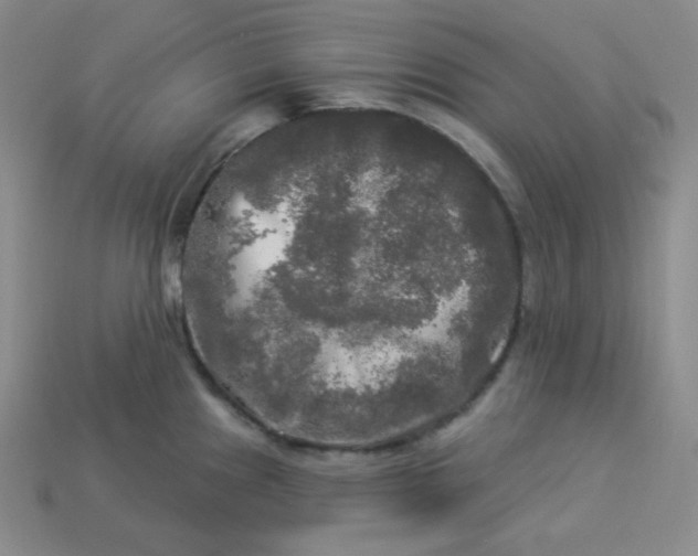X0000113921241200910090929
