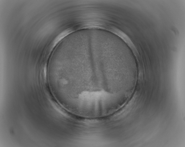 X0000113921242200910090930