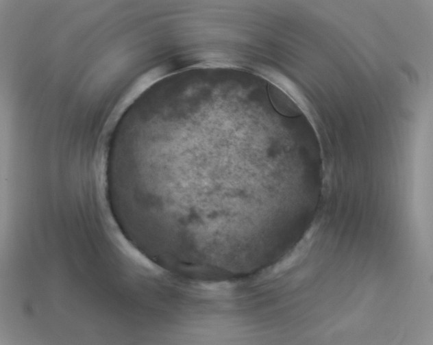 X0000113921243200910090930