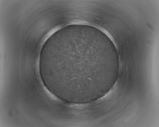 X0000113921245200910090930