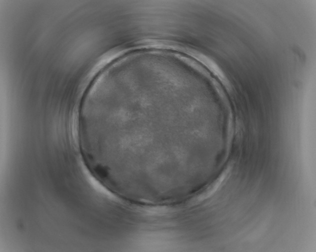 X0000113921247200910090930