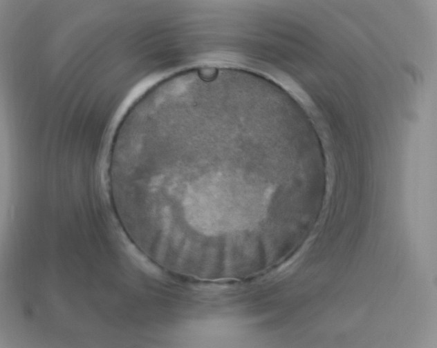 X0000113921248200910090930