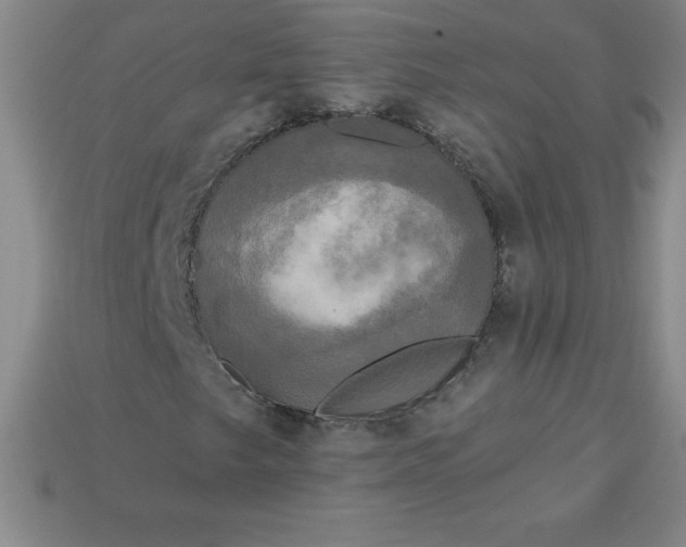 X0000113921249200910090929