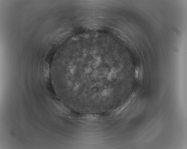 X0000113921251200910090929