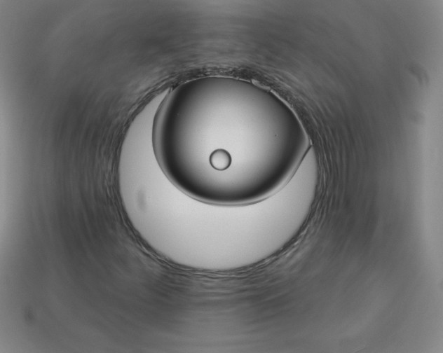 X0000113921252200910090929