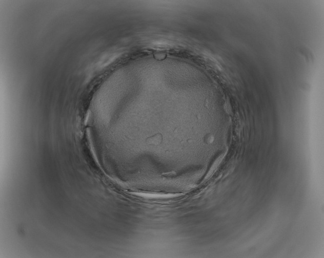 X0000113921253200910090929