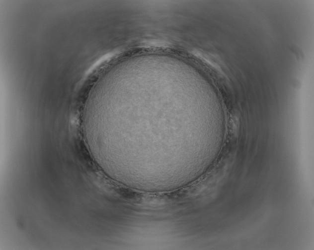 X0000113921254200910090929