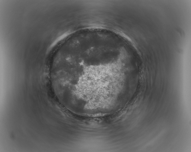 X0000113921255200910090929